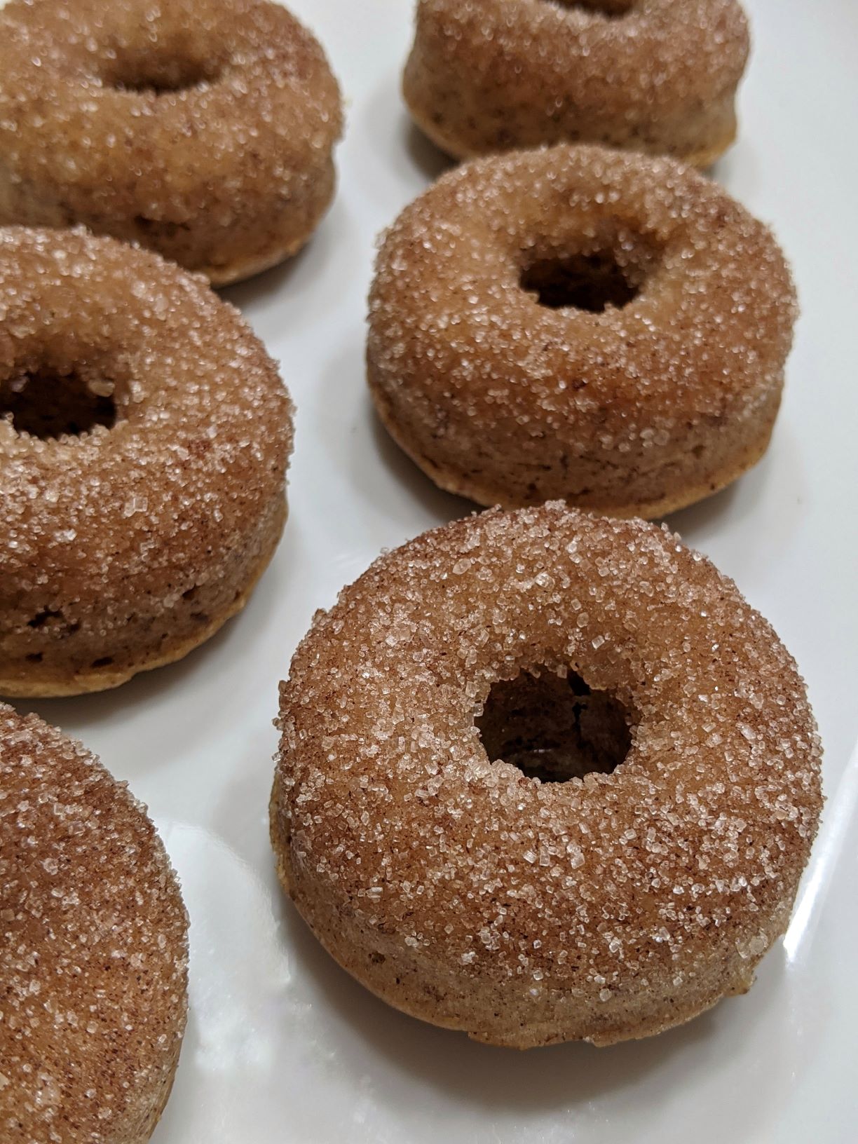 Apple Cider Donuts