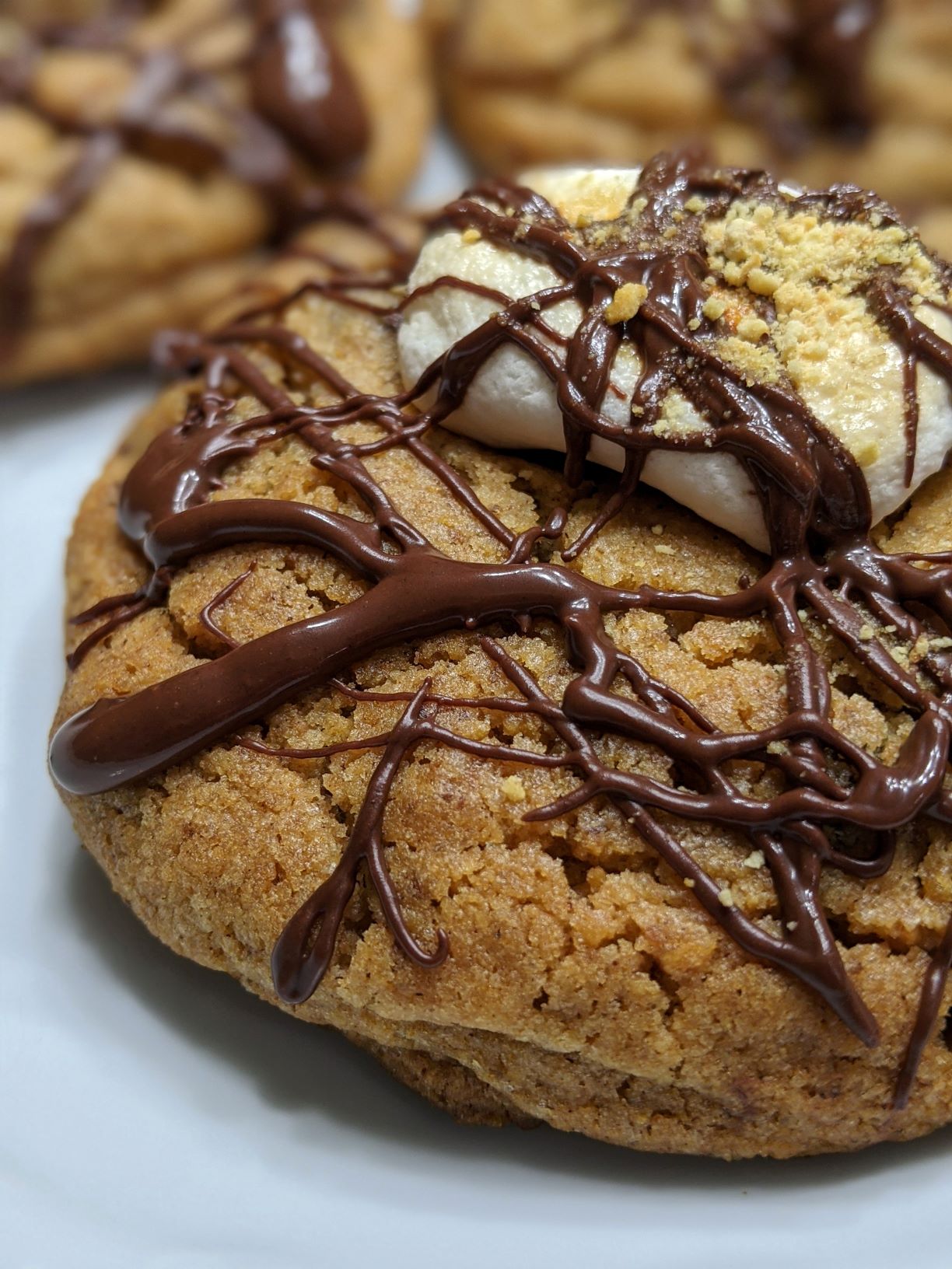 S'mores Cookies Close Up